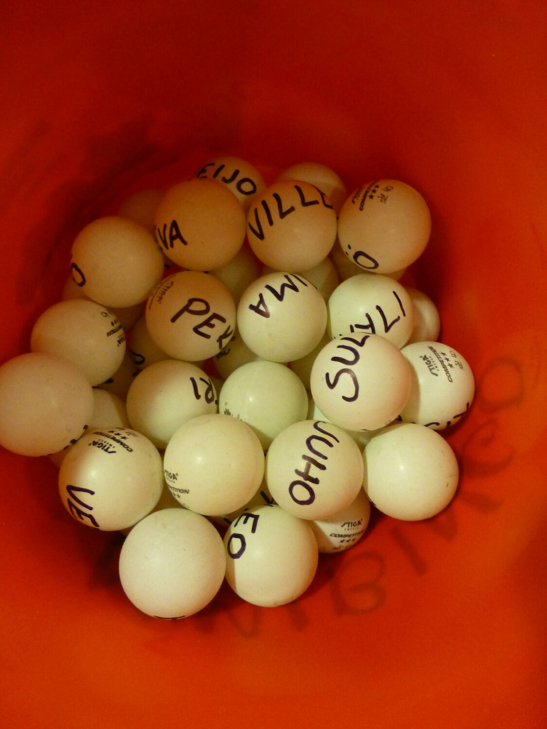 bingopalloja