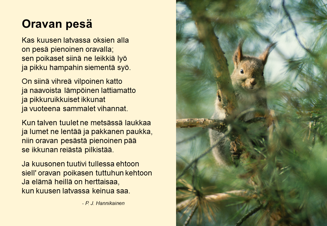 Orava.