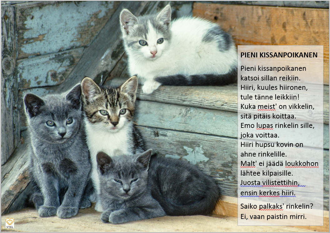 kissanpentuja.