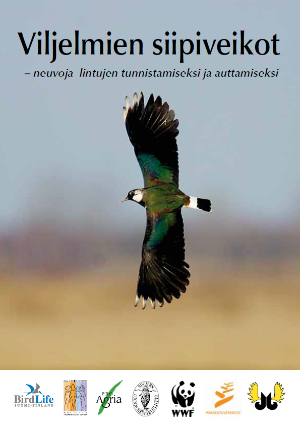 kansi.