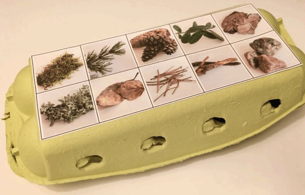 Vaaleanvihreä kananmunakenno, jonka kanteen on liimattu ruudukko erilaisista luonnonmateriaaleista otetuista valokuvista. Ruudukossa näkyy muun muassa kuivattua sammalta, havunneulasia, käpyjä, vihreitä lehtiä, jäkälää, kuivuneita oksia ja pieniä kiviä. Kenno toimii ikään kuin keräilylaatikon kantena luonnonaarteille.