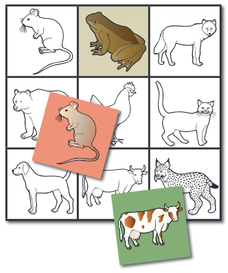 Neljän ruudun leveä ja kolmen ruudun korkuinen muistipelilauta, jossa on mustavalkoisia ääriviivapiirroksia eri eläimistä kuten hiiri, sammakko, kissa, koira ja ilves. Pelilaudan päällä on kaksi värillistä kuvakorttia: toisessa beige hiiri ja toisessa kirjavana piirretty lehmä vihreällä taustalla.